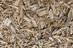 biomass boilers Forden